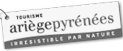 logo_adt_white